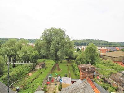 Picture 9